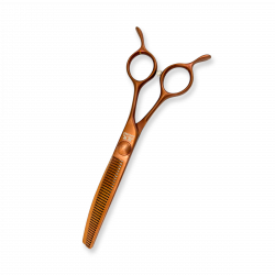 DR6537CTH 2
